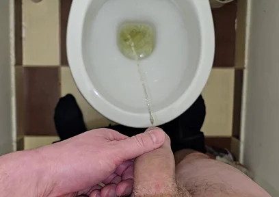 Pissing to the Toilet