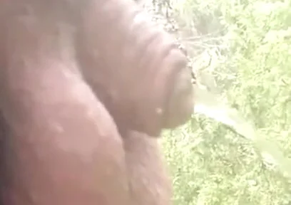 489442701863825409.mp4