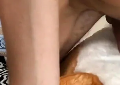 Teddy Bear Rubbing Dick Orgasm Morning Dirty Talks