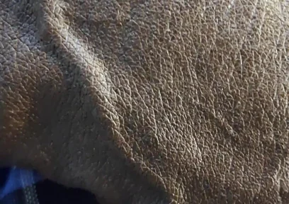 Veiny BBC Flashing