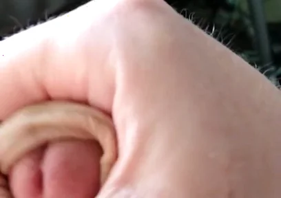 It's Aliiiiive