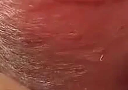 Compilation of Several of My Recent Cumshots
