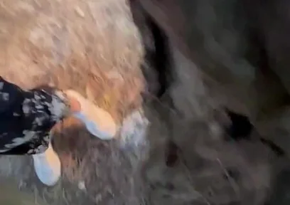 Amateur Guys Cruising for Sex