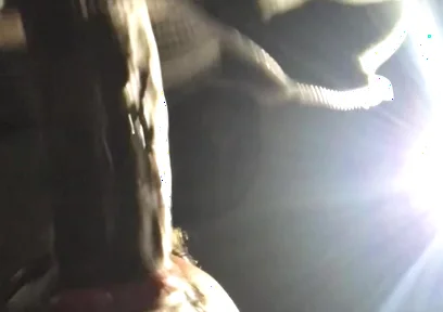 BBC Worship at Night: Risky Public Blowjob & Throat Fuck