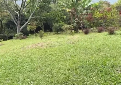 Horny Guy with Glasses Shows You His Morning Erection and Masturbates Outdoors - Andcristian
