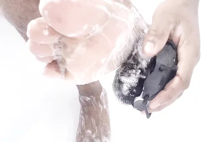 Soap My Soles with a Shower Scrubber (2025)