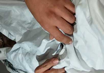 Like a Dirty Hunk Man From Afganistan, Playing Whit Stink Dick