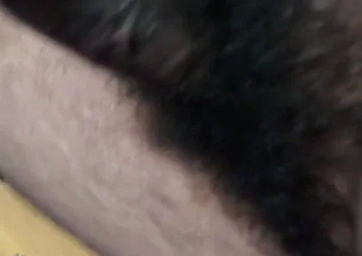 Telugu Abbayi Video