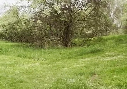 Jockstrap Park Tease: Muscular Asian Hunk Flexes, Fucks the Grass & Explodes in Cum