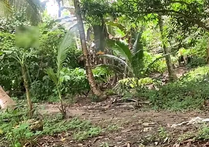 Young Pinoy Twink Jerks off Secretly Outdoors