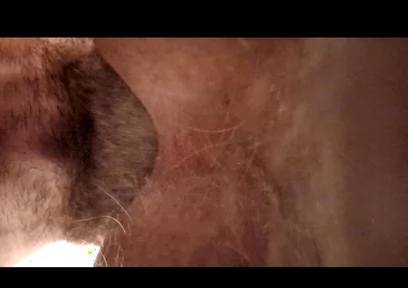 He Wanted to Have His Ass Licked