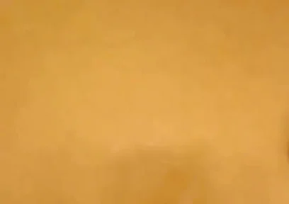 Black Cock Shots