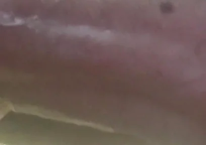 My Cock in a Vacuum