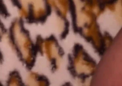 Fat Chubby Gay Cum