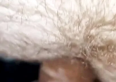 Latino Does a Casting Call and Gets a Deep Penetration in His Hairy Ass!