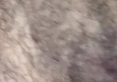 Some Fun Nipple Stuff for Titty Tuesday!