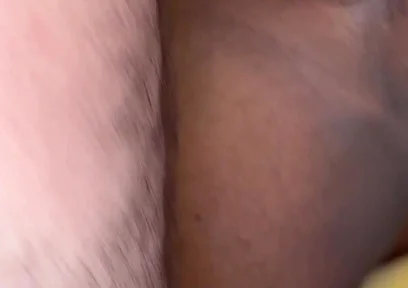 Lobo & Bear Vs Toro