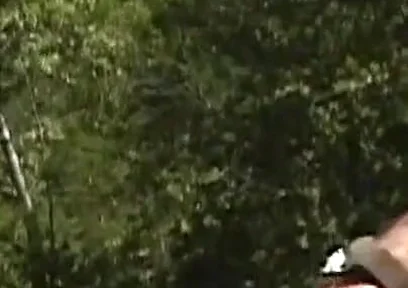 Backwoods Bears: Tom and Allen