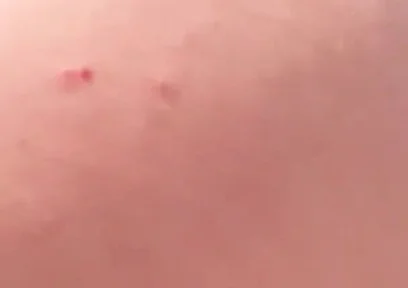 My Big Ass Is Way Better Than a Woman’s, and It Never Gets Pregnant.