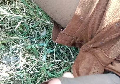 Desi Cock