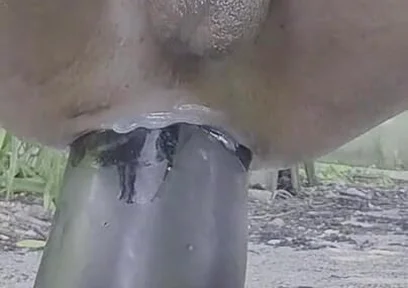 Extreme Pleasure