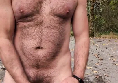 A Bear in the Wild