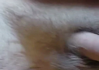 I'm Waving My Cock for You