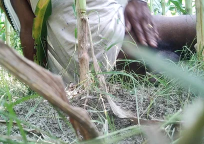 The Village Boy Went to the Cornfield and Hit Him Hard