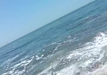 On the Beach on a Sunday