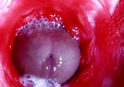 Hot Wet Sexy Hole and Sloppy Big Cock