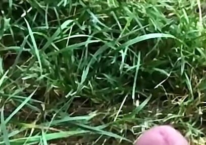 Enjoy This Slowmo. Tomorrow a Short BJ Clip Will Come:d