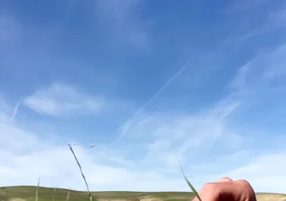 Cowboy Jacks off in a Farm Field