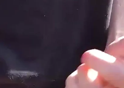 The Sunshine