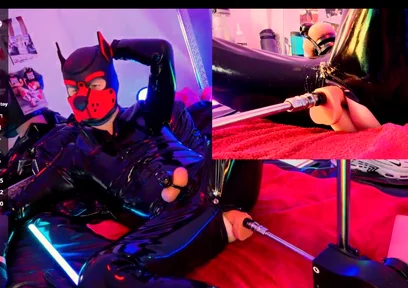 Nicolaus Rubber Show with Pet Mask