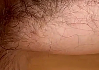 Just Wanted to Let Give You a Closer Look at My Very Hairy Armpits That’s It