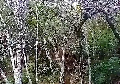 I Went to the Waterfall and Showed off Before Someone Came and Caught Me.