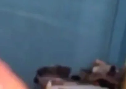 Haydenbbc Video