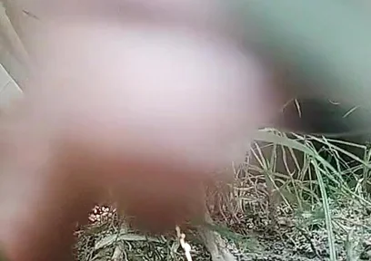 The Village Boy Went to the Cornfield and Hit Him Hard