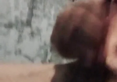 A Rare Sensation on the Cock