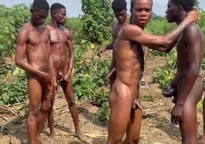 The Corn Shoot Surprise Everyone Is Talking About