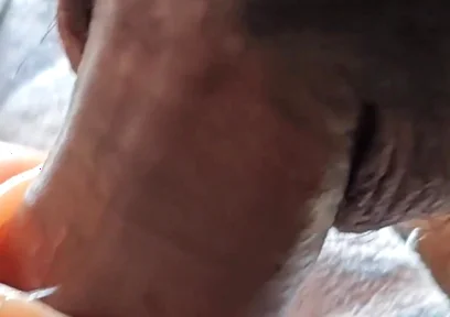 Extra Brazzers Boy Fucking the Sex Doll