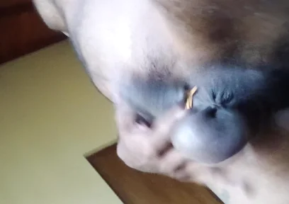 Uncut Cock an Balls Pressure Ring Swing