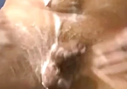 Come with Me to Take a Shower and Masturbate.
