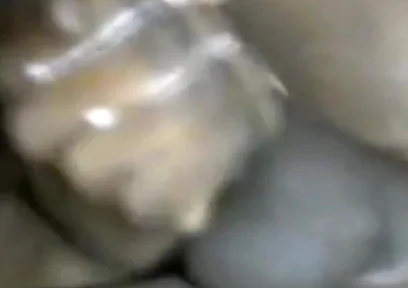 Stroking My BBC Fingering My Arsehole Cumming Hard