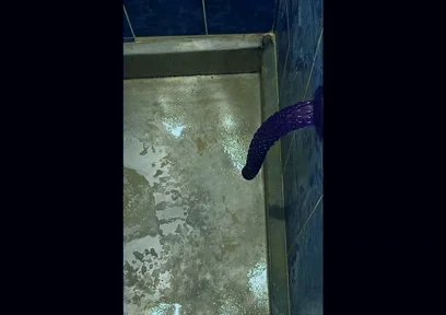 Back in the Shower, Playing with My Anus Again...