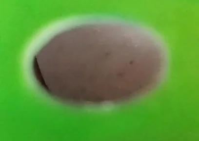You Can See My Ass Through the Holes in the Green Screen