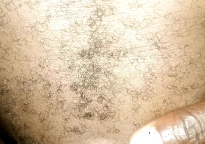 Lovely Night