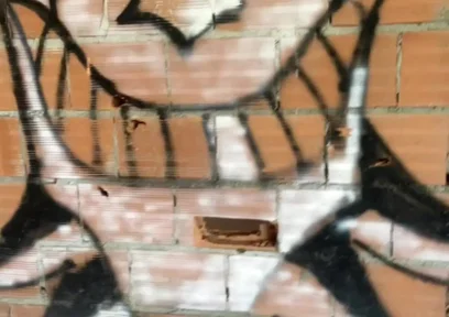 Amateur Boy Caught Bare Ass in Abandoned Building