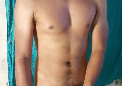 Male Stallion