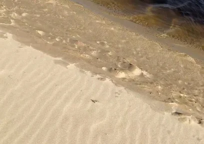 Beach Walk